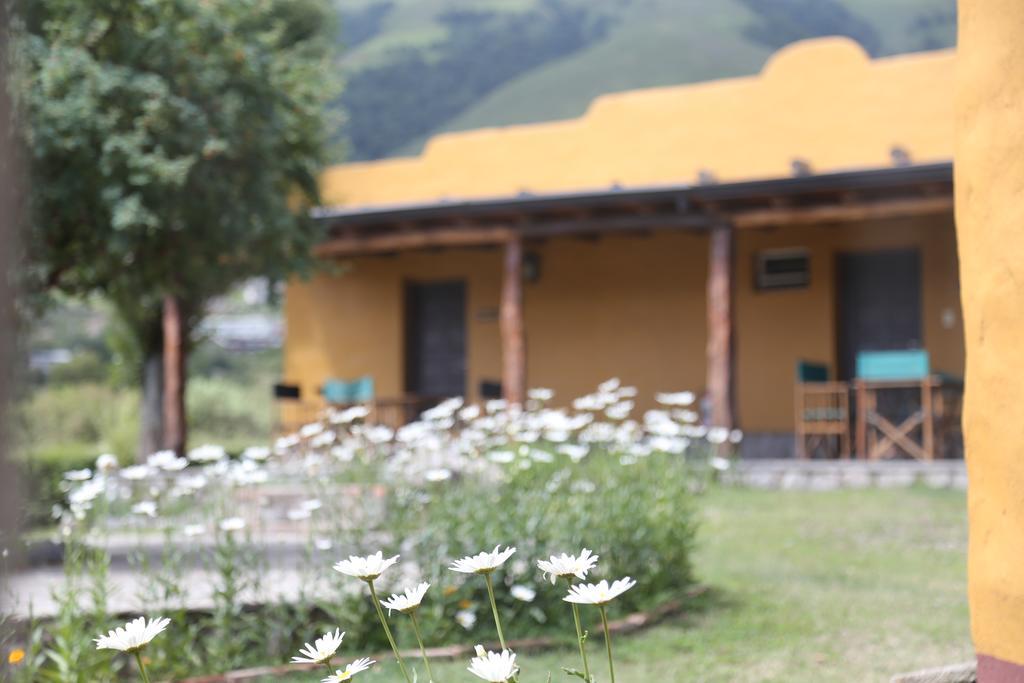 Posada La Guadalupe Tafí del Valle Kültér fotó